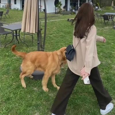 幸福美丽绽放